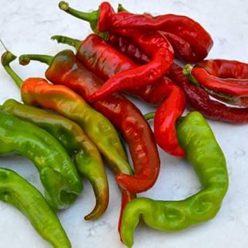 Anaheim Pepper Seeds for Planting, 100 Pcs pcs