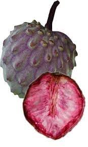 Pale Pink Soursop Annona muricata seeds for planting in home garden