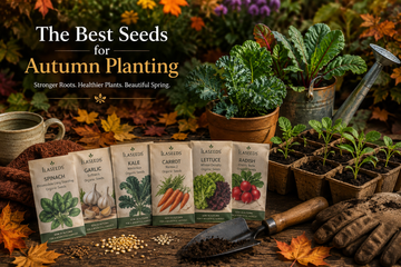 The Best Seeds for Autumn Planting
