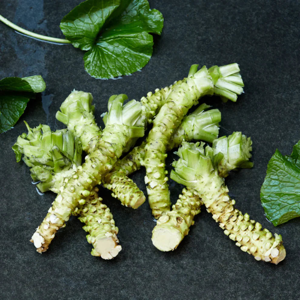 Wasabi Vegetable Seeds