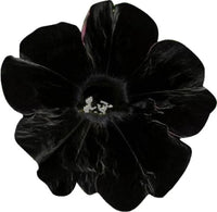 Black Velvet Petunia Flower Seeds for Planting - Heirloom, NON-GMO, Easy to Grow Garden Blooms for planting in your garden.