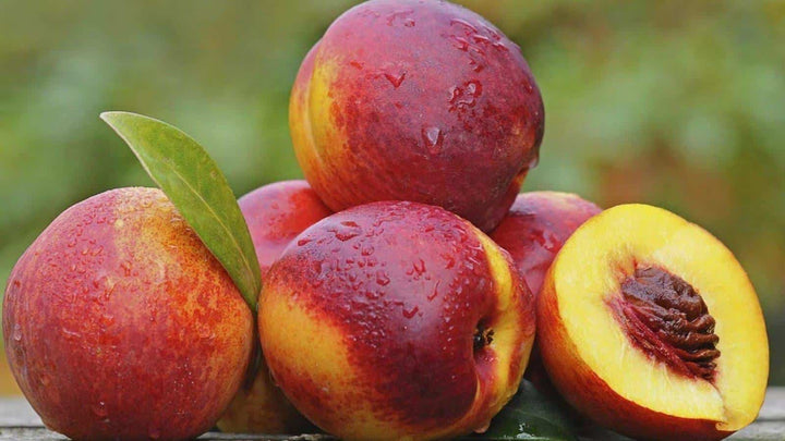 Red Nectarine Fruit Seeds - Grow Juicy and Sweet Nectarines at Home 100 Pcs pcs