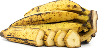 Rhino horn banana Musa spp. seeds for tropical home yard