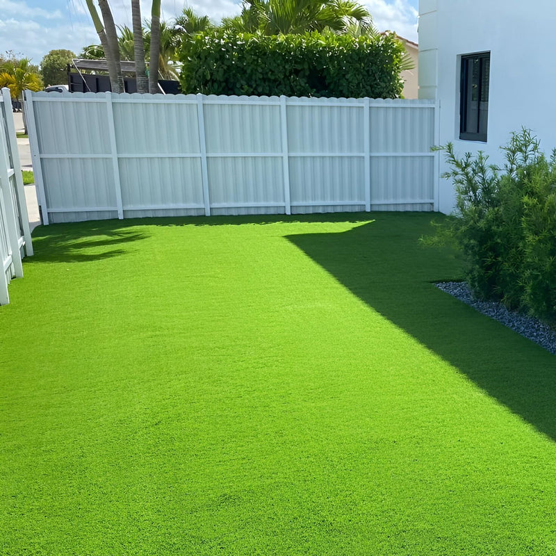 Lawn Grass Seeds ? Heirloom Multi-Color Turf for Garden Beauty