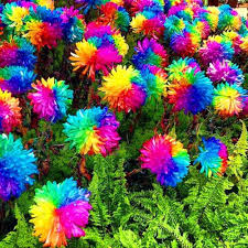 100 Pcs