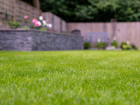 Close-up of green grass with a blurred garden background