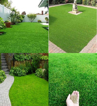 Sun & Shade Blend for All Garden Types
