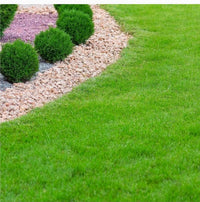 Green lawn with a gravel path and small bushes