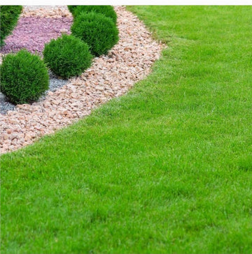 Green lawn with a gravel path and small bushes