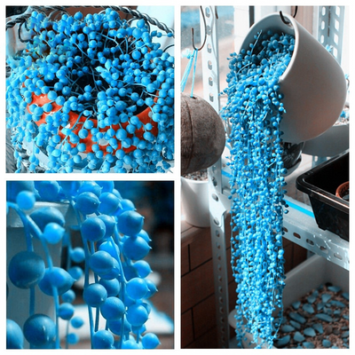 100 Pcs
