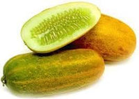 Super Big Winter Melon Seeds - High-Yield Waxgourd for a Giant Harvest 100 Pcs pcs