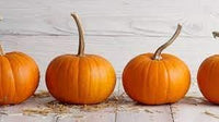 Pumpkin Fruit Seeds for Growing Hearty and Nutrient-Dense Pumpkins 100 Pcs pcs