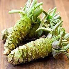 Horseradish Seeds for Gardening, 100 Pcs pcs