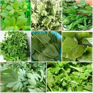 100 Pcs