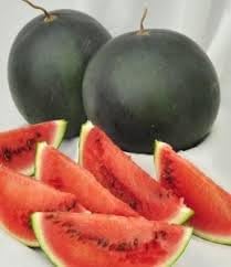 100 Pcs