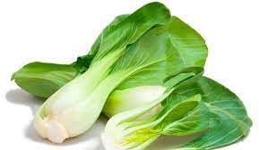 Bok Choy Brassica rapa seeds for kitchen garden planting