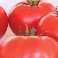 Hybrid Tomato Seeds for Planting - 100 Pcs pcs