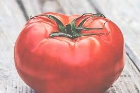 Big Red Tomato Solanum lycopersicum for planting in urban garden