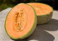 Melon Fruit Seeds - 50pcs, Grow Juicy and Flavorful Melons for Your Garden 100 Pcs pcs