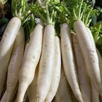 Daikon Radish Seeds for Planting - 100 Pcs pcs