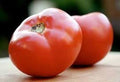 Abe Lincoln Tomato Solanum lycopersicum seeds for garden planting