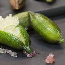 Lime fruit seeds