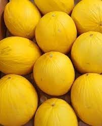 Honey Melon Fruit Seeds for Growing Sweet and Refreshing Melons 100 Pcs pcs