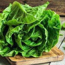 Lettuce Seeds for Home Garden, 100 Pcs pcs