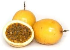Yellow Passiflora Incarnata Fruit Seeds for Planting - Heirloom and Non-GMO Garden Seeds