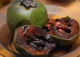 Diospyros Digyna chocolate pudding seeds for planting in home garden