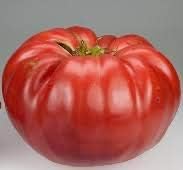 Huge Tomato Seeds for Planting Dark Red - 100 Pcs pcs