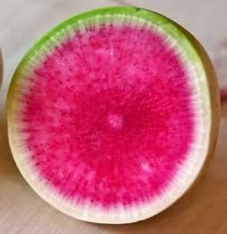 Radieschen Vegetable Seeds for Planting heirloom & Non-GMO Seeds