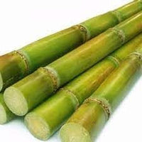 Sugarcane Fruit Seeds for Planting- Grow Sweet Sugarcane for Your Garden, Heirloom Seeds