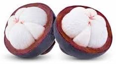 Mangosteen Fruit Seeds for Growing Sweet and Exotic Mangosteens 100 Pcs pcs