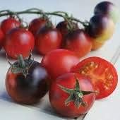 100 Pcs