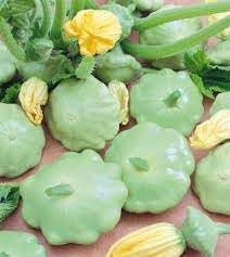 Bennings Vegetable Seeds for Planting - 100 Pcs pcs