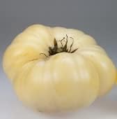 Cream tomato Solanum lycopersicum seeds for planting in home garden