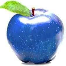 Blue Apple Fruit Seeds for Planting - Vibrant Blue Apples for a Unique Garden Experience