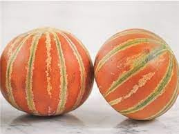 Kajari melon fruit seeds