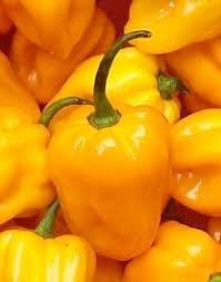 Habanero Pepper Seeds for Planting - 100 Pcs pcs