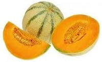 Charentais melon Cucumis melo seeds for sweet home garden