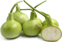 Thai Bottle Gourd Seeds for Planting – Non-GMO, Heirloom Vegetable