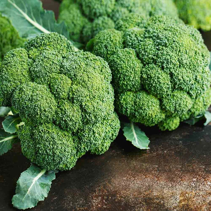 Broccoli Vegetable Seeds