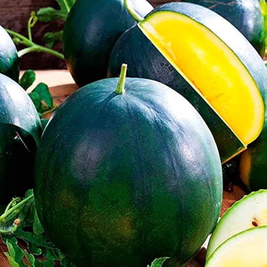 Heirloom Non-GMO Yellow Yanosik Fruit Seeds for Juicy and Tropical Home Garden Planting for planting in home garden