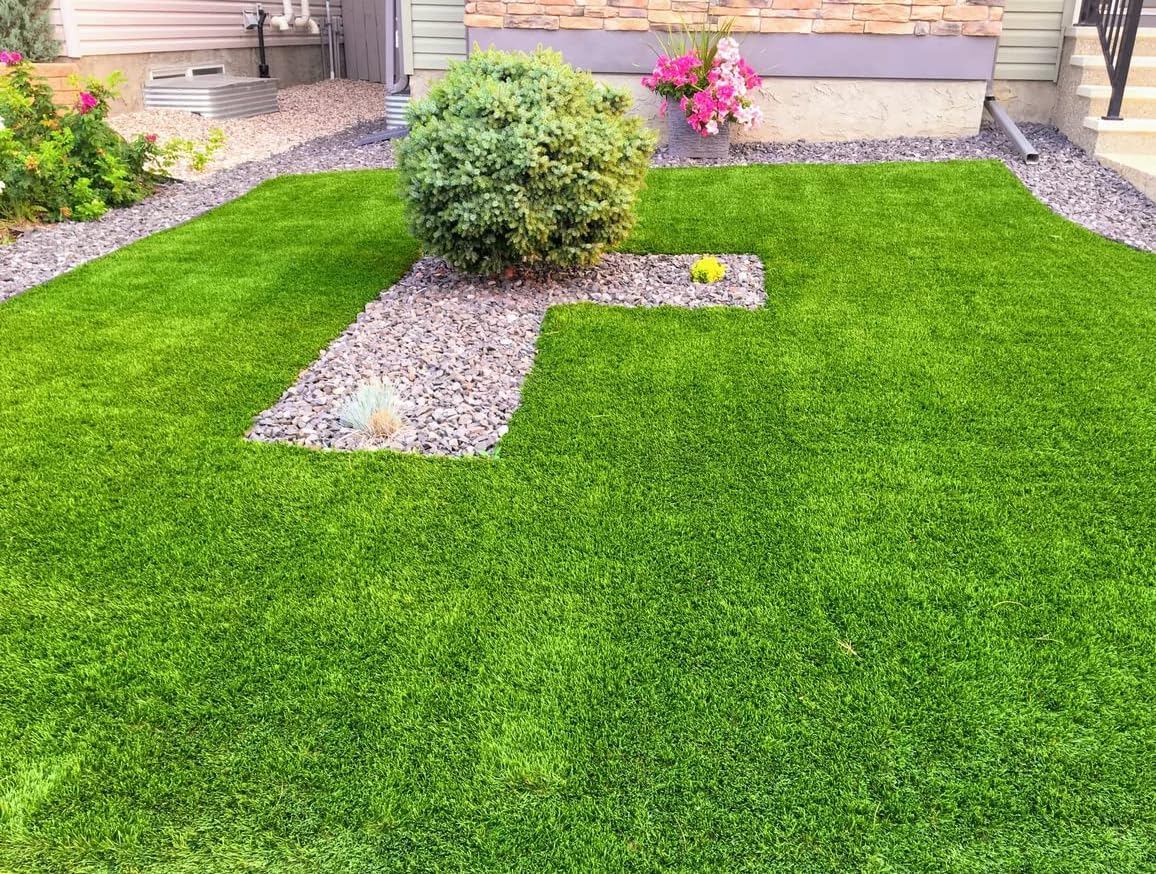 Organic Lawn Grass Seeds ? Rainbow Shades for Home Landscaping