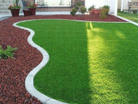 Fast-Growing Lawn Grass Seeds ? Colorful & Durable for Yards