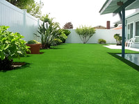 Sun & Shade Blend for All Garden Types