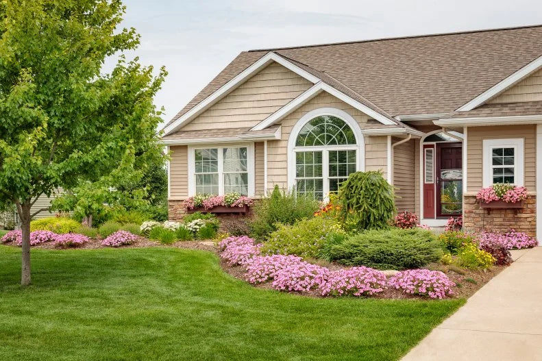 Long-Lasting Seed Blend for Home Landscaping