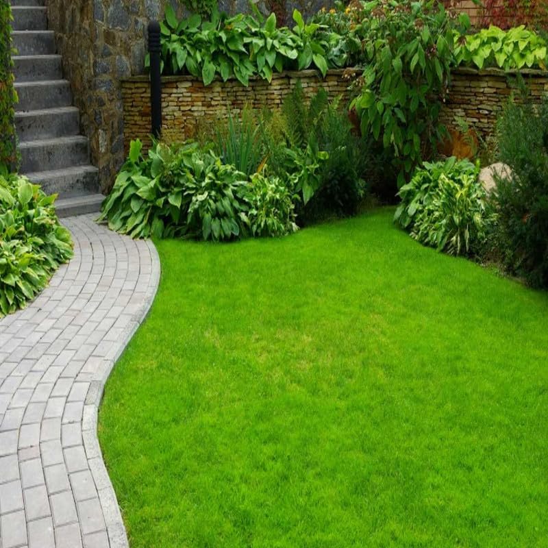 Multi-Color Lawn Grass Seeds ? Perfect for Yards, Parks, and Recreation Areas
