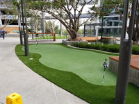 Thick, Healthy Turf for Front and Backyards